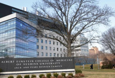 Kampus Albert Einstein College Gratiskan Biaya Kuliah Bagi Mahasiswa Fakultas Kedokteran