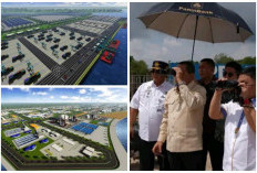 3-4 Tahun Lagi Pelabuhan Canggih di Palembang Ini Curi Perhatian Internasional: Ekonomi Sumsel Membahana