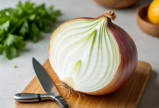8 Manfaat Utama Bawang Bombai Bagi Kesehatan