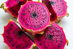 8 Khasiat dan Manfaat Buah Naga
