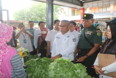 Pemkab Muara Enim Subsidi Sayur-sayuran 