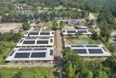 Pasang 1.500 Panel Surya di Blok Corridor, MedcoEnergi Kurangi Emisi hingga 934 Ton CO2e Per Tahun
