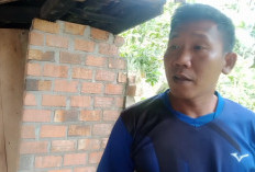 Terbangun Tidur dan Selamat Karena Kucing Berkelahi: Kejadian Bus Sinar Dempo Seruduk Rumah Warga