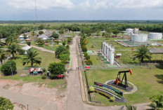 Field Adera Mencapai Produksi Gas Tertinggi Sejak Dikelola Pertamina pada Tahun 1983