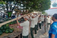 Tegakkan Perda, Lapak Pedagang Kaki Lima Dibongkar