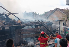 Rumah Panggung Ludes Terbakar, Kerugian Capai Rp100 Juta