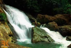 Keindahan Air Terjun Sarasah Kuau Rajo: Pesona Alam Nagari Sungai Buluh