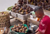 Ternyata Buah Lontar Baik untuk Kesehatan Ginjal