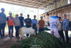 Dukung Usaha Budidaya Peternakan Kambing Perah Potong, Medco E&P Gelar Pembinaan di Desa Bangun Sari