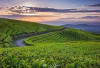 Pagaralam, Kota Sejuk di Sumsel dengan Panorama Gunung Dempo dan Kebun Teh