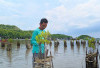 Dulu Bau Amis dan Dipenuhi Sampah, Kini Akar Mangrove Menumbuhkan Harapan