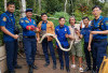 5 Bahaya Utama Ular Sanca Atau Ular Python