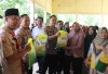 Ratusan Warga Gunung Megang Serbu Gerakan Pasar Murah
