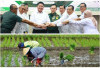 Cetak 48.000 Hektar Sawah Baru: Sumsel Menuju 2 Besar Penghasil Padi dan Beras Terbesar di Indonesia