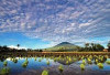 Sumsel punya 10 spot wisata hits dan Instagramable, dari ikon Palembang hingga surga alam Pagaralam