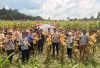 Polsek Gelumbang Panen 4 Ton Jagung Pipil