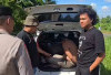 Bermodal GPS! Pecatan Polisi Curi Mobil Berlangsung  Dramatis