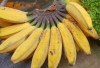 8 Manfaat Utama dari Pisang Kepok