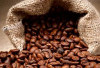 Tiga Kecamatan Penghasil Kopi Nikmat di Muara Enim, Lokasinya Berada di dataran Tinggi