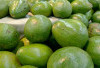 Yuk Simak, Apa Saja Manfaat Didapat dari Buah Alpukat? 