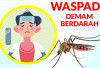 Waspada DBD di Musim Hujan: Langkah Nyata Mencegah Wabah