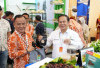 Kopi Semendo Asal Muara Enim Masih Jadi Primadona