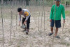 Poksek Rambang Dangku Dorong Ketahanan Pangan Lewat Budidaya Timun