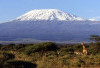 Gunung Kilimanjaro: Puncak Tertinggi Afrika yang Menyimpan Keindahan dan Tantangan