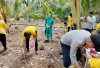 Dukung Ketahanan Pangan Lewat Penanaman Jagung di Pagar Dewa