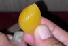 Inilah 5 Manfaat Bawang Putih yang Menguning