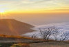 Gunung Guntur: Pesona Gunung Berapi Aktif di Kabupaten Garut