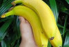 Waspada! 7 Buah Ini Diam-Diam Bisa Gagalkan Dietmu