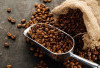 Kopi dan Sawit Jadi Primadona Baru, Produksi Perkebunan Muara Enim Capai 256 Ribu Ton