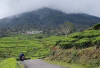 2 Dunia 1 Provinsi: 7 Wisata Alam & Ikonik Buatan Ini Buktikan Sumsel Pantas Masuk Bucket List Liburan Kece!