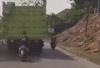 Awas, Bajing Loncat Beraksi di Siang Bolong
