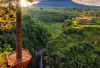 Dikelilingi Gunung Merapi dan Merbabu, Ini Air Terjun Cantik di Boyolali