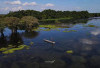 Muara Enim Miliki Wisata Padang Savana dan Berkeliling Sungai, Ini Lokasinya!