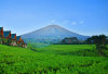 2 Wisata Sejuk di Sumsel: Gunung Dempo & Danau Ranau, Surga Adem Bikin Betah