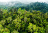 TWA Gunung Permisan: Negeri Bukit Nenek, Goa di Puncak dan Misteri Alam Bangka Selatan