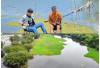 Savana Pinang Banjar: Surga Tersembunyi 1,5 Jam dari Palembang, Cuma Rp5.000 Masuk