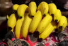 Sensasi Pisang Lilin Bakar, Sederhana Namun Sangat Nikmat!