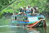 Keindahan Permata Indah Wisata Mangrove Sungsang IV: Surga Alam di Pesisir Banyu Asin!