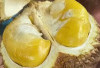 Efek dan Khasiat di Dapat Konsumsi Durian