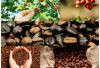 Sumatera Selatan: Pemimpin Produksi Kopi Indonesia, Sudah 10 Tahun Terakhir