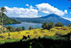 Hawa Mirip Swiss Tapi Ini di Sumsel: Wisata Gunung Dempo dan Danau Ranau Bikin Tak Mau Pulang