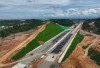 Jembatan Satwa Pertama di Tol IKN: Waskita Bangun Jalur Aman Orangutan Hingga Macan Dahan