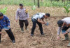 Polsek Lawang Kidul Tanam Jagung Serentak Kuartal I Tahun 2026 
