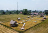 Rasakan Sensasi Makan di tengah Sawah di Palembang, Ini Lokasinya!