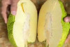 Sukun Kaya Akan Serat! Baik Untuk Pencernaan dan Membantu Menjaga Berat Badan Ideal