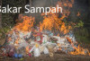 3 Dampak Negatif Jika Seseorang Membakar Sampah